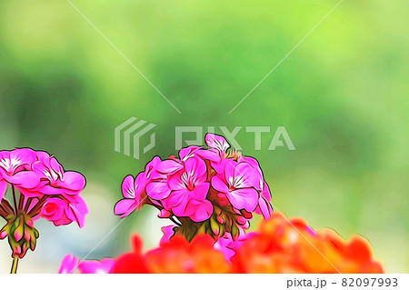 パステル調　”ゼラニュームの花”　イラストイメージ 82097993