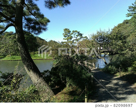 神奈川県横浜市　秋の三渓園　松と池 82098697