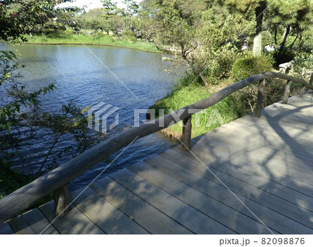 神奈川県横浜市　秋の三渓園　木の橋　右斜め 82098876