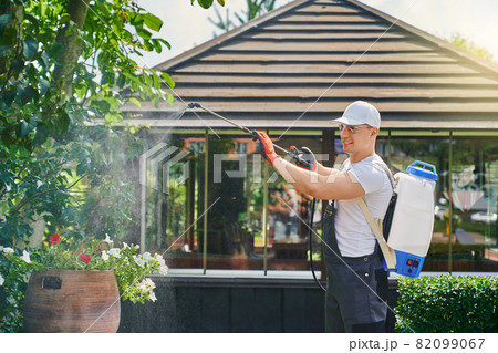 Gardener spraying plants at garden with chemicals Gardener spraying plants at garden with chemicals 82099067