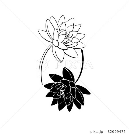 Lotus Flower Black And White Tattoo Yin Symbol Stock Illustration