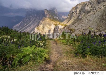 Seceda Seceda 82099480