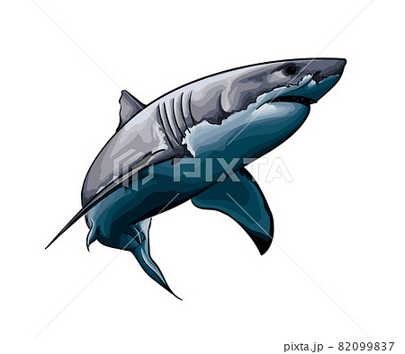 Great white shark from a splash of watercolor, colored drawing, realistic 82099837