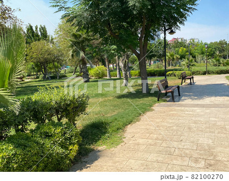 Park recreation areas of Egypt. Garden and landscape design Park recreation areas of Egypt. Garden and landscape design 82100270