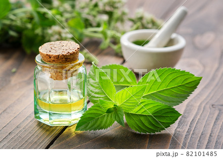 Bottle of mint essential oil and peppermint leaves. Mortar of spearmint leaves and blossom Mentha piperita medinal plants on background. 82101485