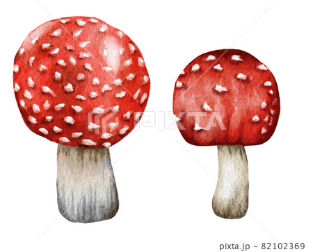 Watercolor dangerous poisonous mushrooms red Amanita muscaria wild fungus fungi from autumn fall forest woodland natural season perfect for halloween design textile wrapping paper Watercolor dangerous poisonous mushrooms red Amanita muscaria wild fungus fungi from autumn fall forest woodland natural season perfect for halloween design textile wrapping paper 82102369