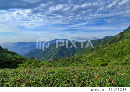 苗場山の祓川コースから望む風景 苗場山の祓川コースから望む風景 82103283