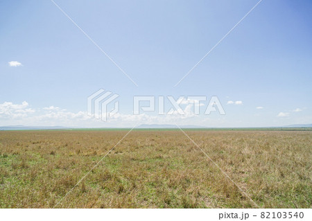 マサイマラ国立保護区の風景 82103540