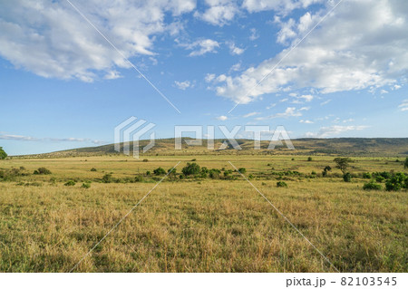 マサイマラ国立保護区の風景 マサイマラ国立保護区の風景 82103545