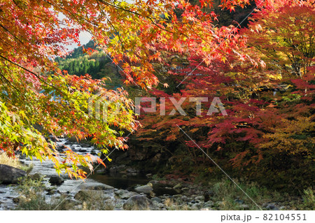 《岡山県》秋の紅葉、奥津渓の風景【11月】 《岡山県》秋の紅葉、奥津渓の風景【11月】 82104551