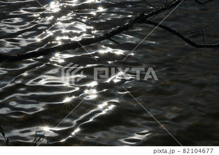 キラキラした水面の写真素材 キラキラした水面の写真素材