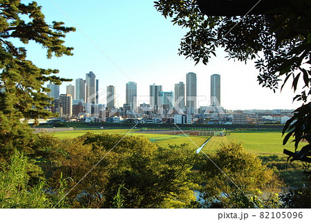 多摩川台公園から眺める夕方の武蔵小杉のビル群 82105096