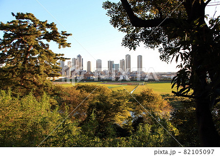 多摩川台公園から眺める夕方の武蔵小杉のビル群 82105097