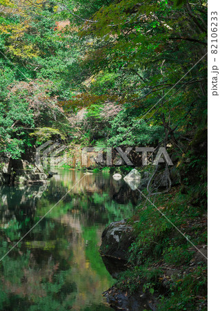 《岡山県》秋の紅葉、奥津渓の風景【11月】 《岡山県》秋の紅葉、奥津渓の風景【11月】 82106233