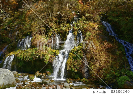 南八ヶ岳川俣川東沢の吐竜の滝 南八ヶ岳川俣川東沢の吐竜の滝 82106240
