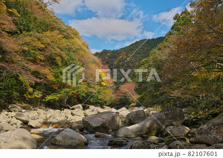 《岡山県》秋の紅葉、奥津渓の風景【11月】 82107601