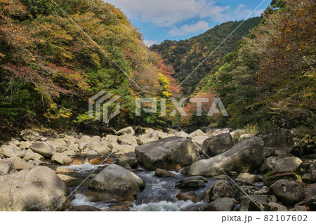 《岡山県》秋の紅葉、奥津渓の風景【11月】 82107602