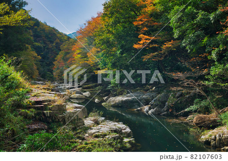 《岡山県》秋の紅葉、奥津渓の風景【11月】 82107603