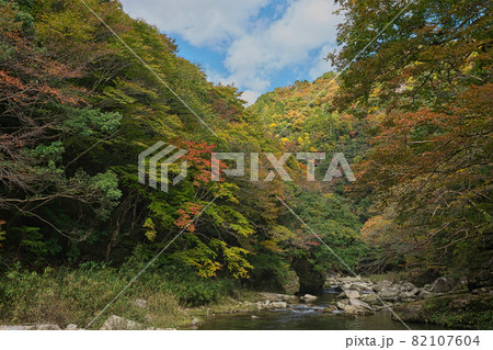《岡山県》秋の紅葉、奥津渓の風景【11月】 82107604