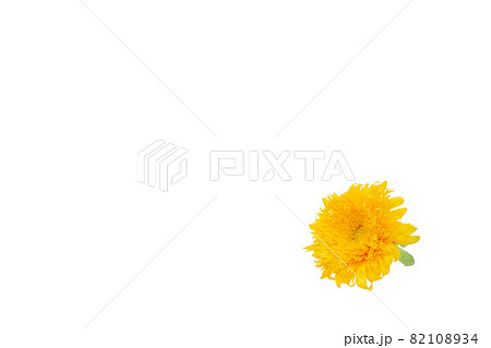 ひまわり　夏　思い出　ゴッホのひまわり　無花粉高性分枝系　向日葵 82108934