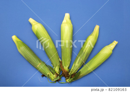 Five fresh corn cobs on a blue background Five fresh corn cobs on a blue background 82109163