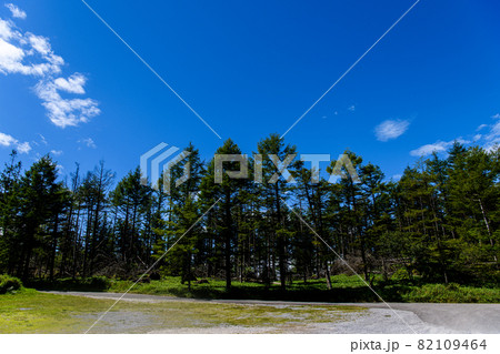 【長野県 岡谷市】高ボッチ高原 【長野県 岡谷市】高ボッチ高原 82109464