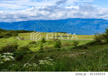 【長野県　岡谷市】高ボッチ高原 82109503
