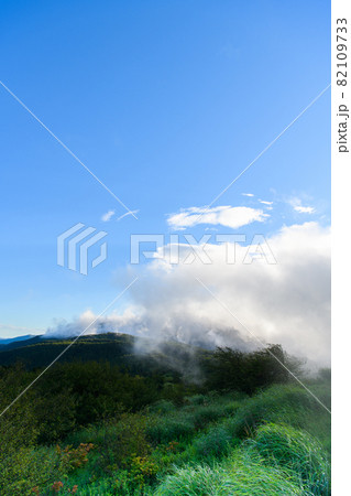 【長野県 岡谷市】高ボッチ高原 【長野県 岡谷市】高ボッチ高原 82109733