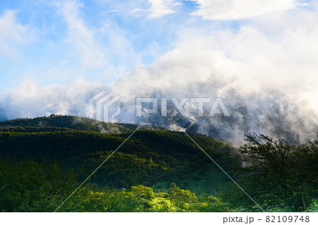 【長野県 岡谷市】高ボッチ高原 【長野県 岡谷市】高ボッチ高原 82109748