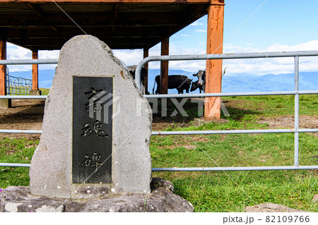 【長野県 岡谷市】高ボッチ高原 【長野県 岡谷市】高ボッチ高原 82109766