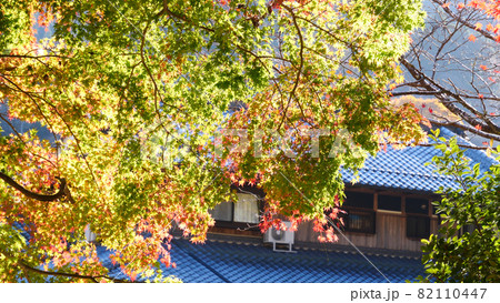 奈良の紅葉 82110447
