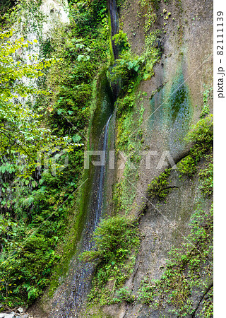 由布川渓谷、新猿渡入り口付近の小さな滝 82111139