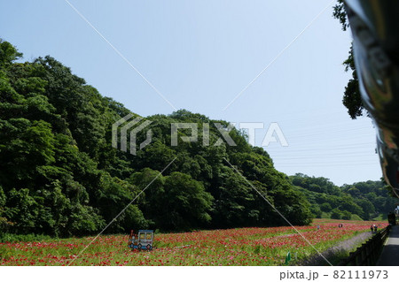 くりはま花の国 観音崎 くりはま花の国 観音崎 82111973