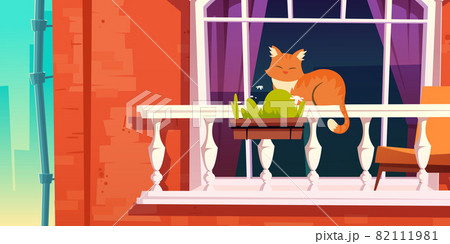 House facade with vintage balcony, window and cat 82111981