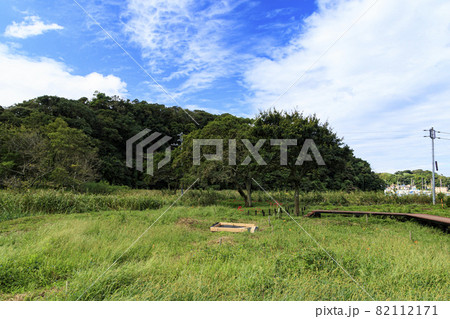 小網代の森（初秋） 82112171