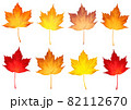 カジカエデの紅葉セット 82112670