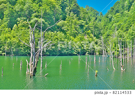 【王滝村自然湖】 長野県木曽郡王滝村 82114533