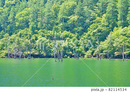 【王滝村自然湖】 長野県木曽郡王滝村 82114534