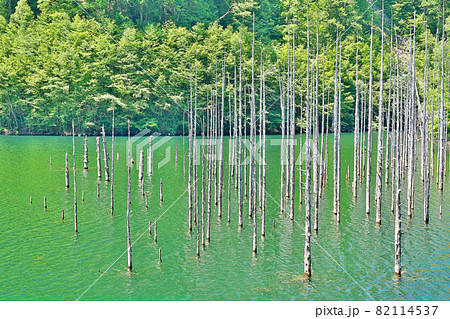 【王滝村自然湖】 長野県木曽郡王滝村 82114537