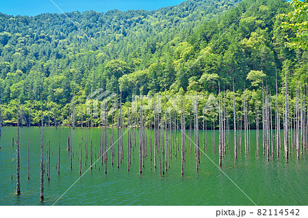 【王滝村自然湖】 長野県木曽郡王滝村 82114542
