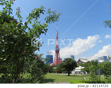 芝公園から見える東京タワー 82114729