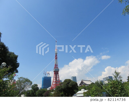 芝公園から見える東京タワー 82114736