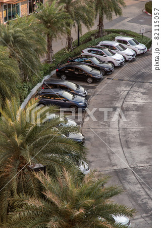 Car parking lot outdoor with trees in front of hall building in the evening. Outdoor parking lot with fresh ozone and green environment concept. Car parking lot outdoor with trees in front of hall building in the evening. Outdoor parking lot with fresh ozone and green environment concept. 82115057