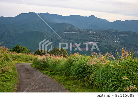 稲取細野高原の道中からの眺め《東伊豆町》 稲取細野高原の道中からの眺め《東伊豆町》 82115088