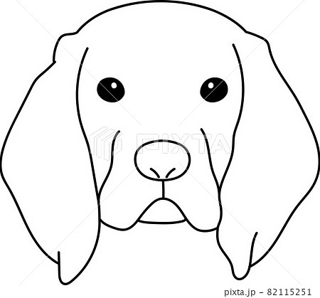 リアル かわいいビーグル犬の顔イラストのイラスト素材