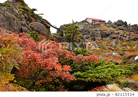 紅葉の早池峰山 82115514