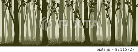 Tree Silhouette with Tall Trunk and Branched Top as Misty Forest Horizontal Backdrop Vector Illustration 82115727