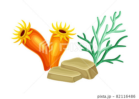 Sea Marine Coral Deep on Ocean Bottom and Stone Vector Composition Sea Marine Coral Deep on Ocean Bottom and Stone Vector Composition 82116486
