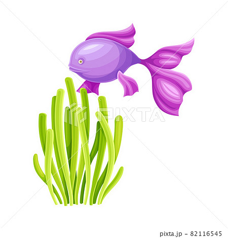 Green Sea Coral and Floating Fish as Ocean Bottom Vector Composition 82116545