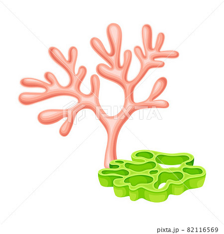 Sea Polyp or Coral Growing on the Ocean Bottom and Stone Vector Composition 82116569